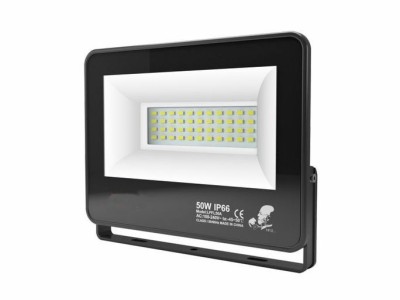 LED Floodlight IP66 100LM/W