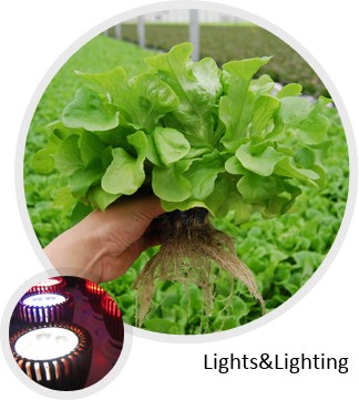 About LED Grow Light