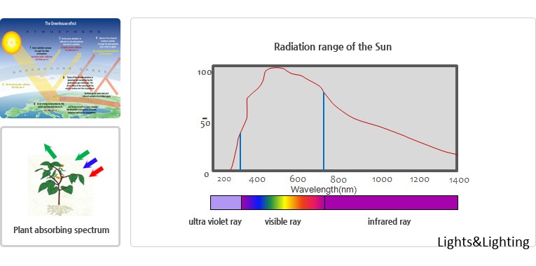 What's LED Growlight?