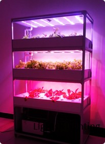 LED Grow Light Characteristics