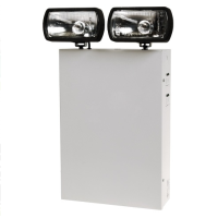 2X20W LED Twin Spot Emergency Light