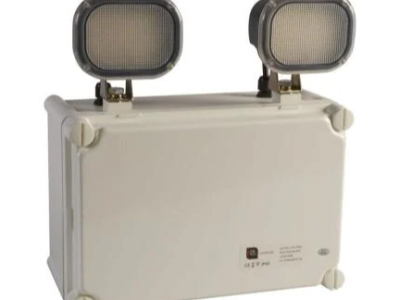 2X9w LED Twin Spot Emergency Ligh