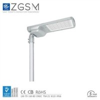 170lm/w high light efficacy LED street light/luminaire