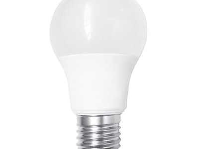 LED Bulb Light