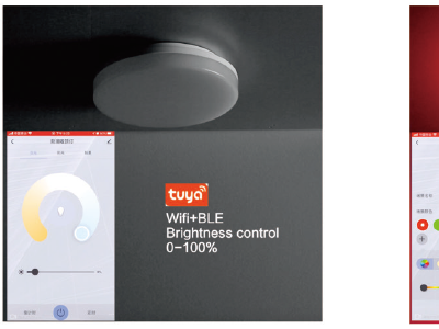 Tuya Smart LED moisture-proof Lam